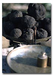 Vente de la truffe